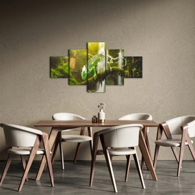 Obraz kameleona (125x70 cm)