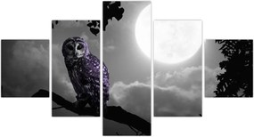Obraz - Nocna sowa, fioletowa sowa (125x70 cm)