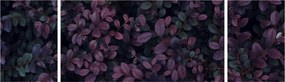 Obraz ciemnoczerwonych liści (170x50 cm)