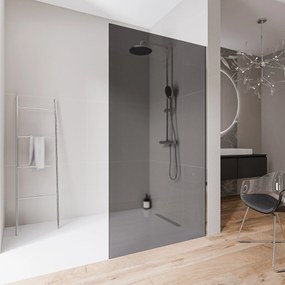 Ścianka prysznicowa Walk-In EX102-2 bezpieczne szkło szare Nano 10mmChromowany profil ze stali nierdzewnej - wysokość 220 cm - szerokość do wyboru