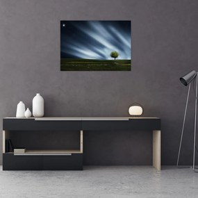 Obraz zorzy polarnej nad wrzosowiskami (70x50 cm)