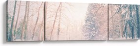 Obraz - Widok na las (170x50 cm)