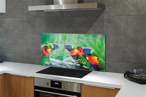 Panel Kuchenny Szklany Egzotyczne Papugi w Koronie Drzew