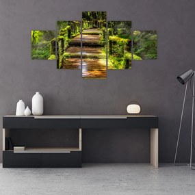 Obraz schodów w deszczowym pralesie (125x70 cm)