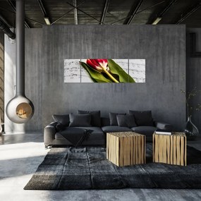 Obraz czerwonego tulipana (170x50 cm)