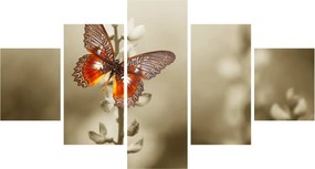 Obraz motyla (125x70 cm)