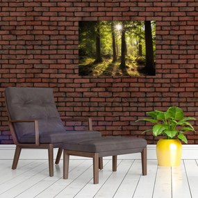 Obraz na szkle sennego lasu (70x50 cm)