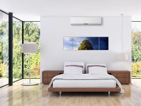 Obraz - Dzień i noc (170x50 cm)