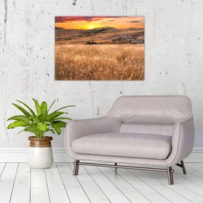 Obraz na szkle - pole (70x50 cm)