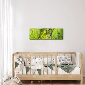 Obraz węża (z zegarem) (90x30 cm)