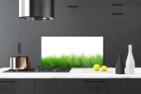 Panel Szklany Soczysta Zielona Trawa