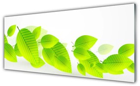 Panel Szklany Liście Kwiaty Natura