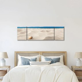 Obraz - Muszle na plaży (170x50 cm)
