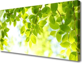 Obraz na płótnie Świeże Zielone Liście