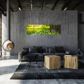 Obraz polany i kwiatów (170x50 cm)