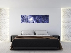 Obraz - Magiczna zimowa noc (170x50 cm)