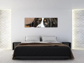 Obraz psa (170x50 cm)