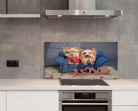 Szklany Panel Urocze Pieski Rasy York