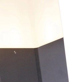 Zewnetrzna Lampa ścienna zewnętrzna czarna z opalizującym białym kloszem IP44 - Denmark Nowoczesny Oswietlenie zewnetrzne