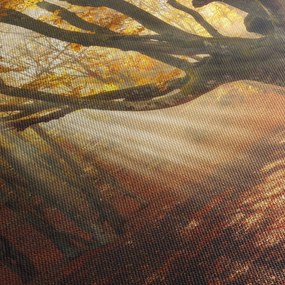 Obraz - Jesienny świt (170x50 cm)