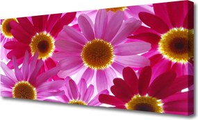 Obraz na płótnie Pastelowa Kompozycja Kwiatowa