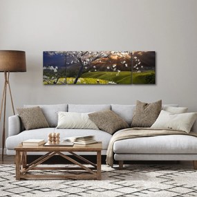 Obraz - Kwitnące drzewo w krajobrazie (170x50 cm)