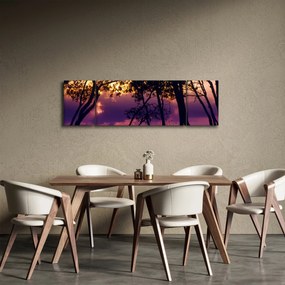 Obraz - Drzewa o zachodzie słońca (170x50 cm)