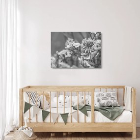 Obraz na szkle - Suszone kwiaty (70x50 cm)