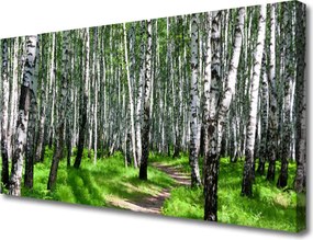 Zdjęcie na płótnie Spokój Leśnej Ścieżki