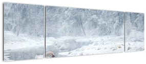 Obraz łabędzi (170x50 cm)