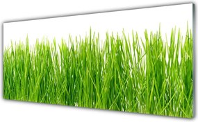 Panel Szklany do Kuchni Naturalny Dywan Zieleni