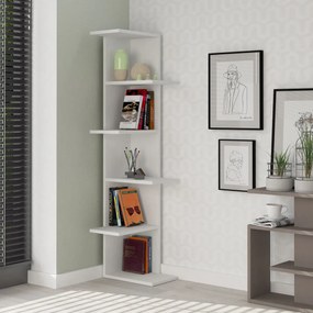 Biblioteczka Saso White