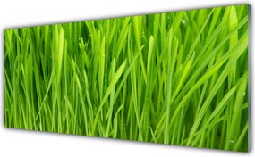 Panel nad blat kuchenny Naturalna Tekstura Zieleni