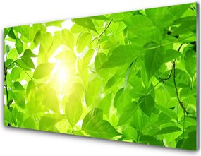 Szkło do Kuchni na Ścianę Słońce W Koronach Drzew