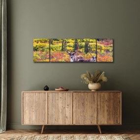 Obraz - Renifer tundrowy (170x50 cm)