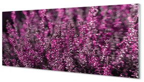 Szklany Panel Pole wrzosy