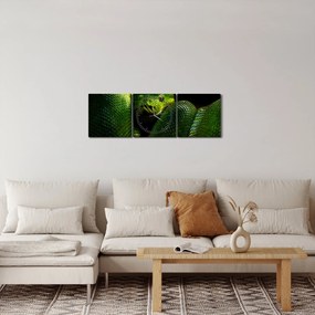 Obraz - Zielony wąż (z zegarem) (90x30 cm)