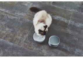 Porcelanowa miska dla kotów ø 14 cm Fresco Concrete S – MiaCara