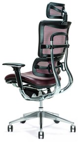 Wysokiej klasy wygodny regulowany fotel biurowy ergonomiczny Ergo 800. Siedzisko ze skóry naturalnej, oparcie tapicerowane siatką mesh. Dostępny w kolorze czarnym i śliwkowym. Nowoczesny design.