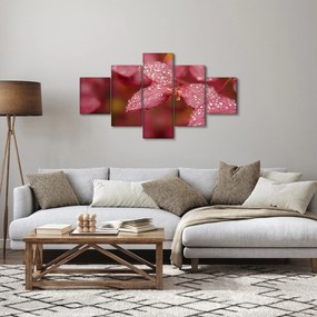 Obraz - Obraz biletu w trybie makro (125x70 cm)