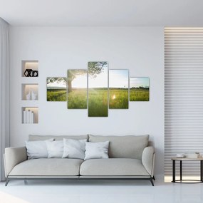 Obraz letniej łąki (125x70 cm)