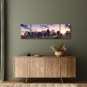 Obraz - wieżowce dużego miasta (170x50 cm)