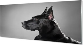 Panel szklany do Kuchni Elegancki Czarny Pies