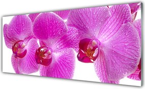 Dekor Szklany do Kuchni Świeżość Wiosennych Kwiatów