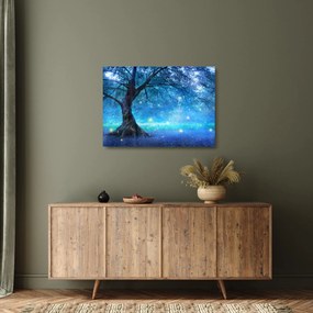 Obraz na szkle - Mistyczny las (70x50 cm)
