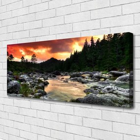 Obraz drukowany na płótnie Leśna Rzeka wpadająca do Jeziora