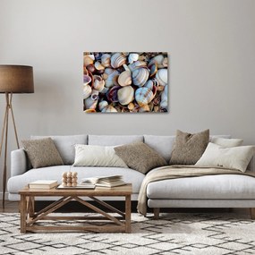 Obraz na szkle muszelek (70x50 cm)