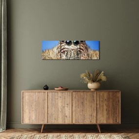 Obraz szczegółu pająka (z zegarem) (90x30 cm)