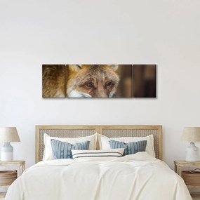 Obraz lisa (170x50 cm)