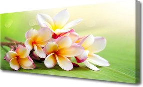 Fotoobraz na płótnie Pełnia Kwiatowego Rozkwitu